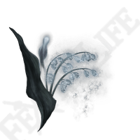 Grave Glovewort [3] *999